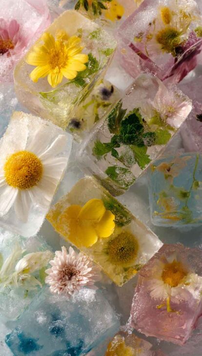 cute cottagecore aesthetic daisy wallpaper