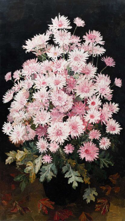 daisy wallpaper with black background