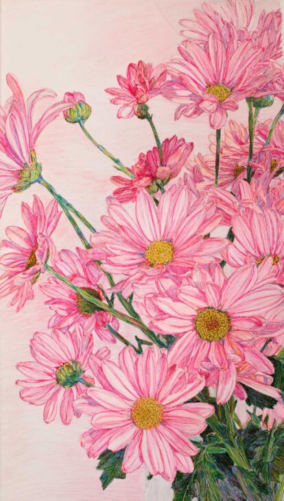pink aesthetic daisies wallpaper