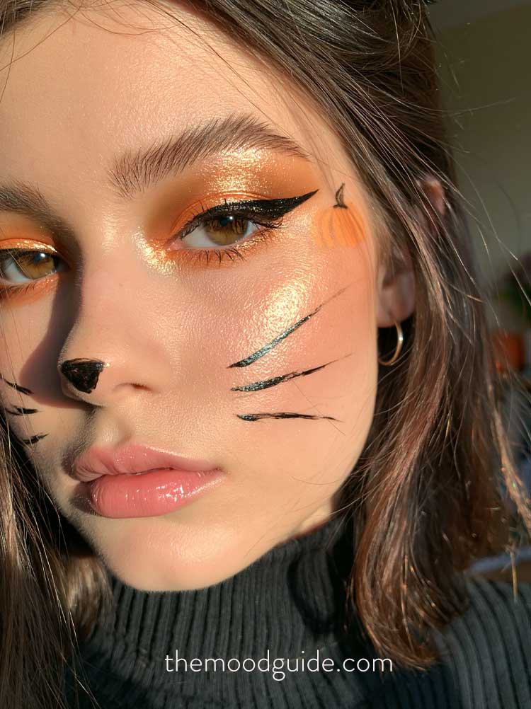 simple cute and easy cat makeup for woman for halloween