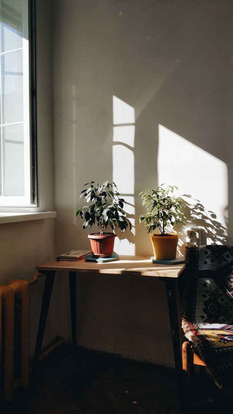 How Natural Light Shapes the Mood of Your Home